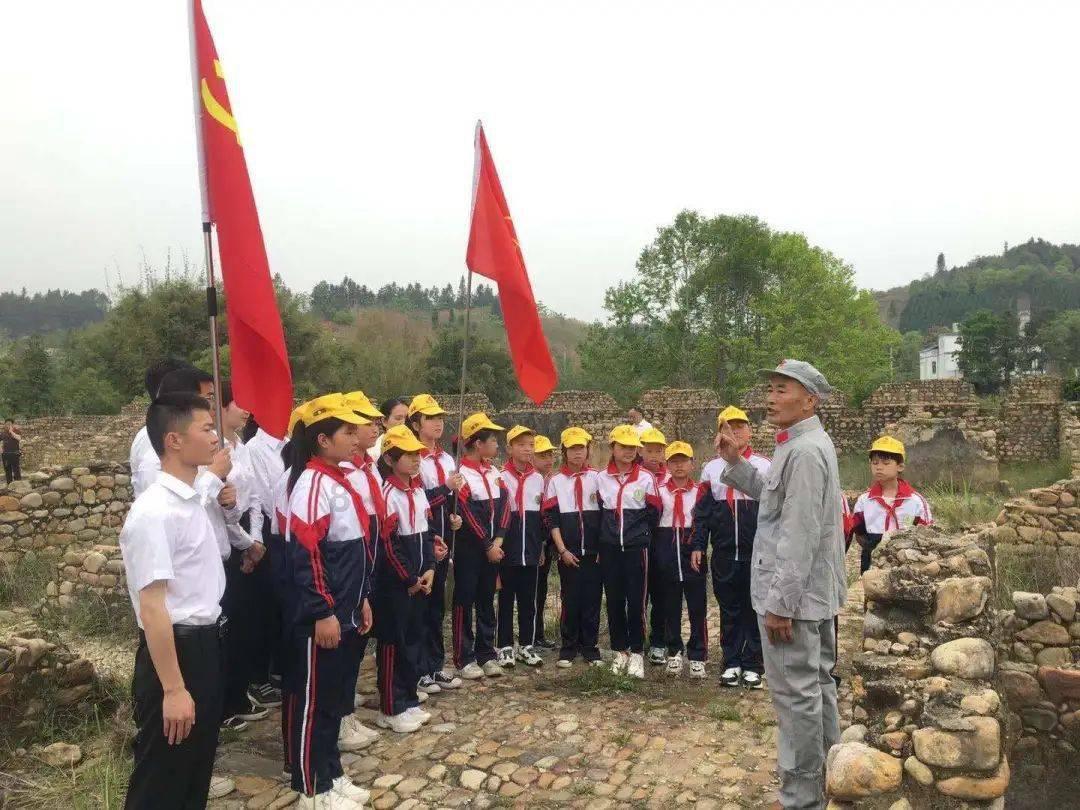 小青柑茶怎么泡？